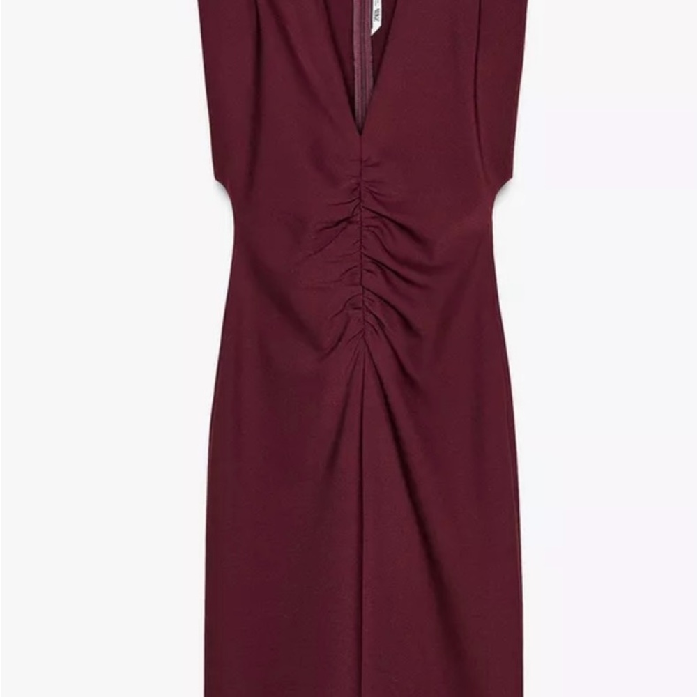 Zara Wine Ruched Sheath Dress